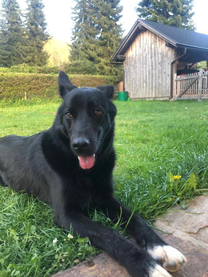 Haus Moser Altaussee Eksteriør billede