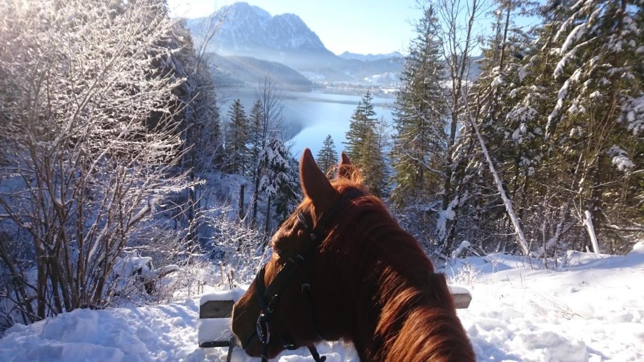 Haus Moser Altaussee Eksteriør billede